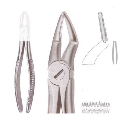 Extracting Forceps